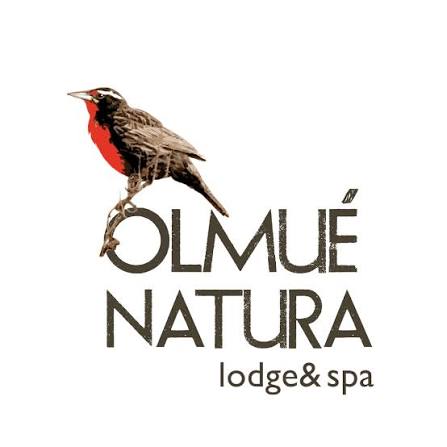 Olmué Natura Lodge & Spa