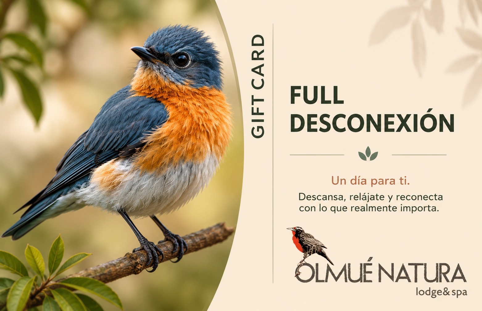 Gift Card Full Desconexión