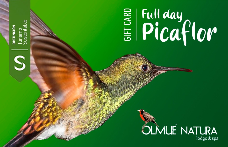 Gift Card Full Day Picaflor